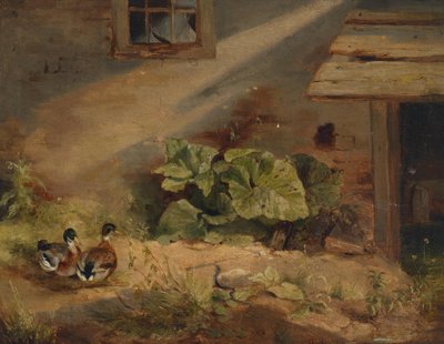 Patos en el patio de Benno Adam